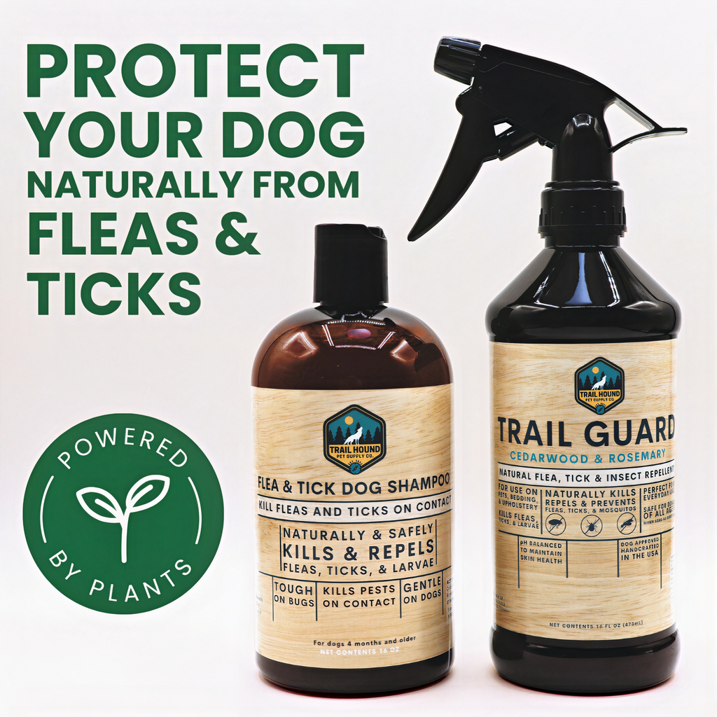2 Pack Best Seller Deep Clean Dog Shampoo Set