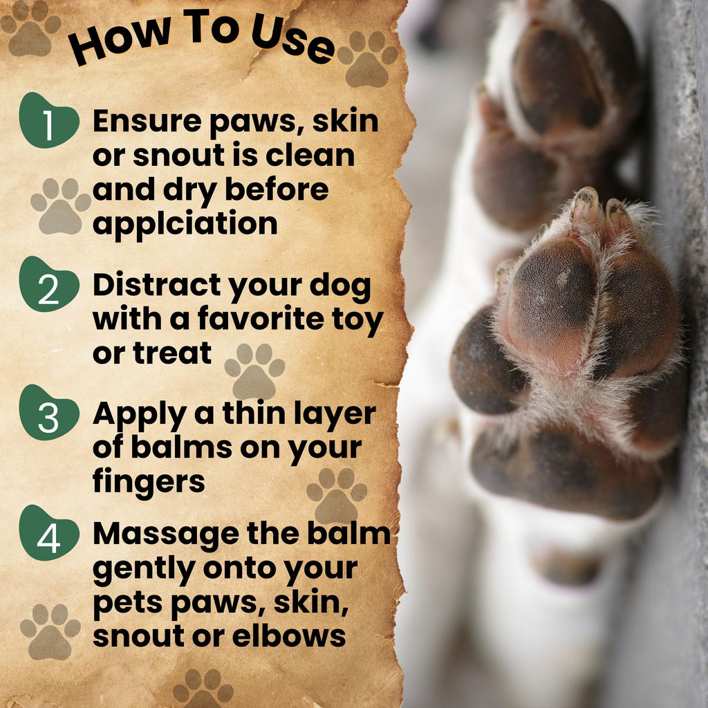 Paw Protection Balm