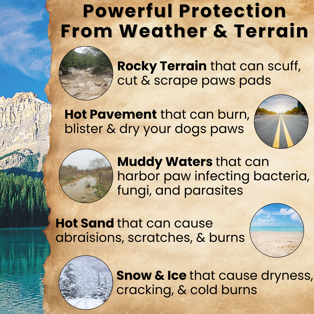 Paw Protection Balm
