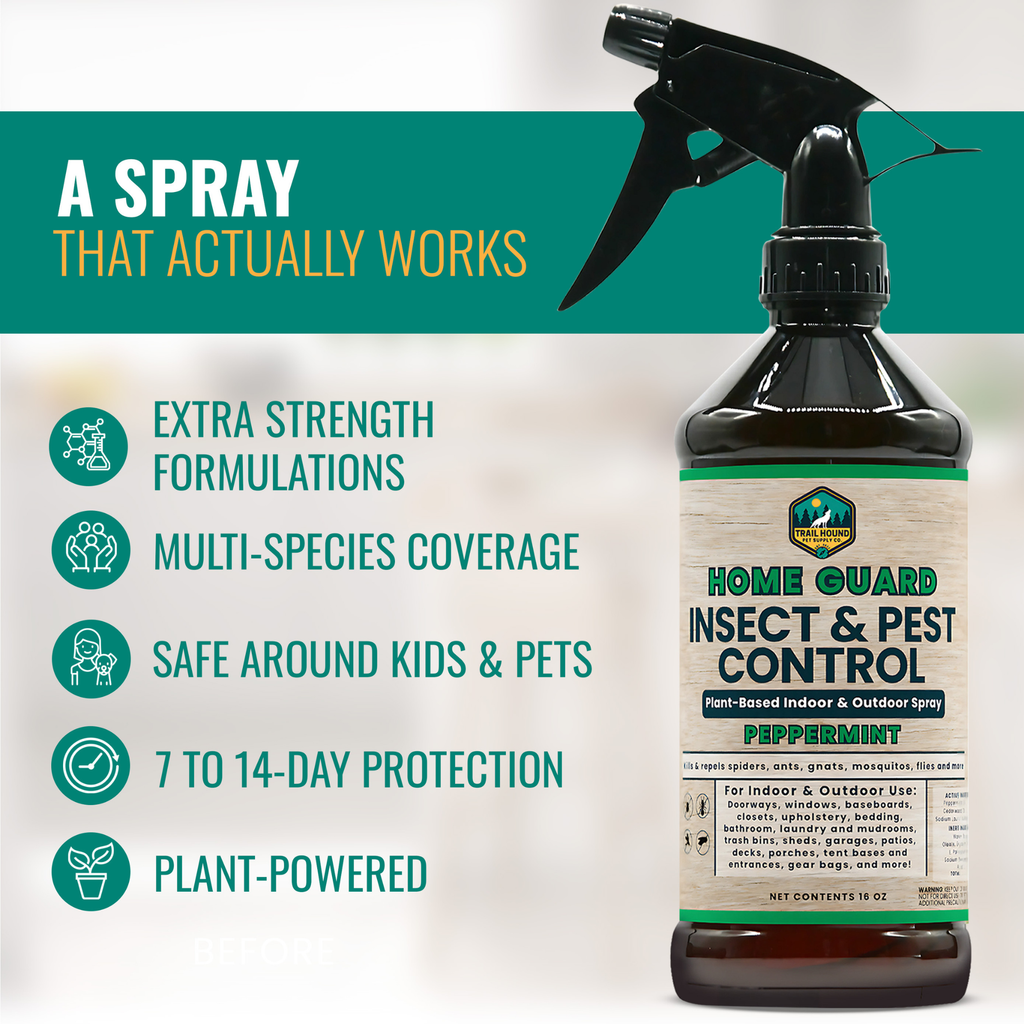 Home Guard: Insect & Pest Control Spray