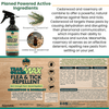Trail Guard Max: Max Strength Flea, Tick & Insect Spray